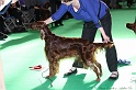 Crufts2011 802